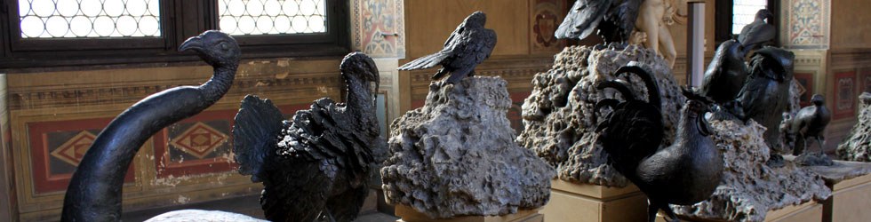 wild-fowl
