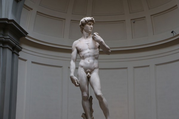 david